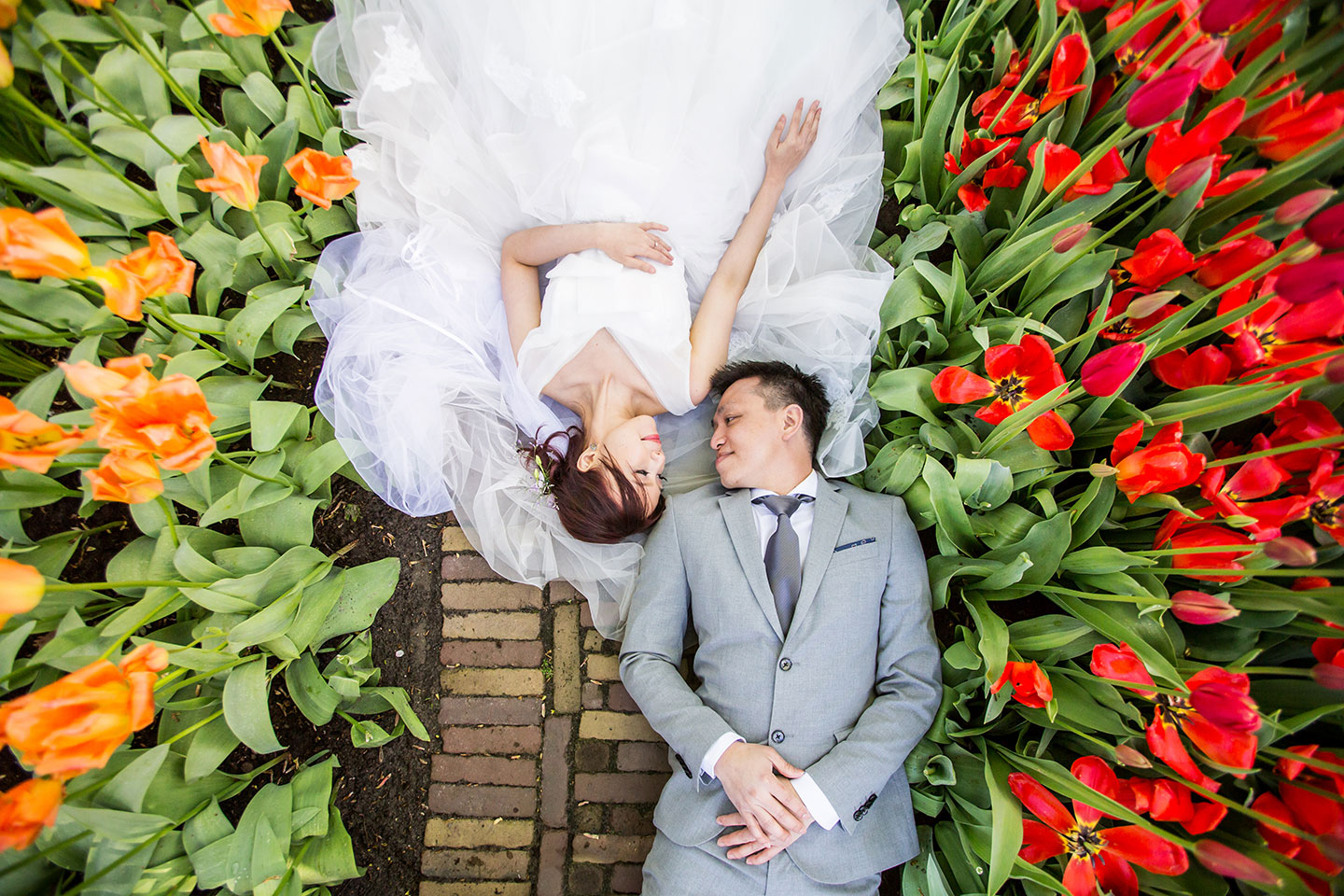 Tulip gardens Holland prewedding shoot